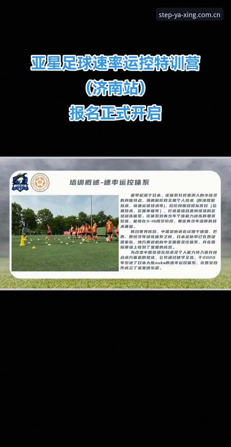 海外华人亚星APP下载指南 亚星体育平台海外华人安装量激增,一纸指南解跨区难题